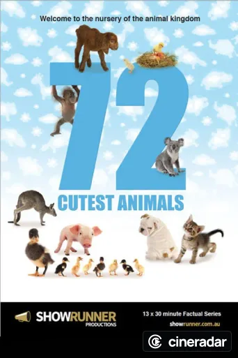 72 Cutest Animals