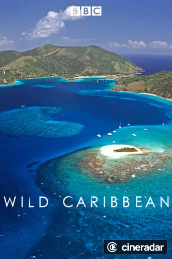 Wild Caribbean