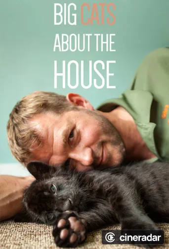 Big Cats About The House