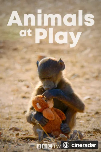 Animals at Play