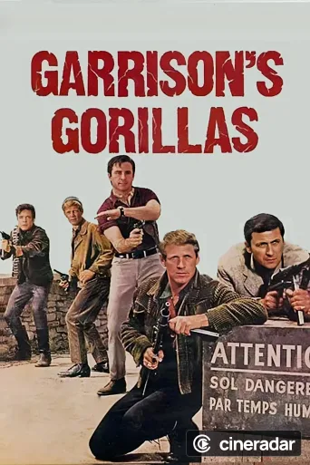 Los Comandos de Garrison