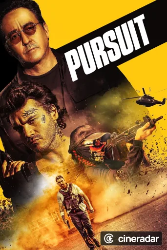 Pursuit