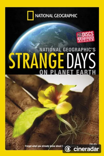 Strange Days on Planet Earth