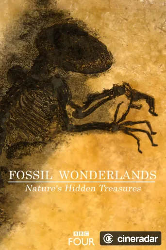 Fossil Wonderlands: Nature's Hidden Treasures