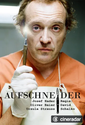 Aufschneider