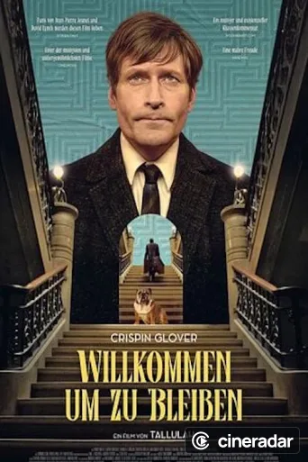Mr. K