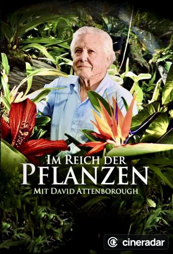 Kingdom of Plants