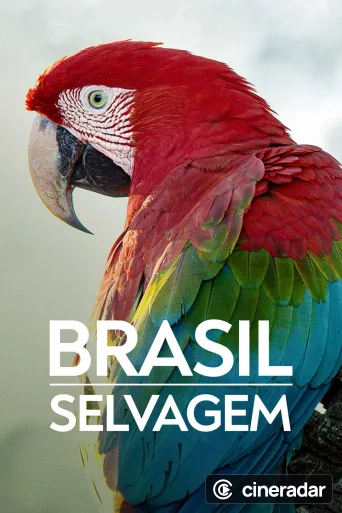 Brazil Untamed