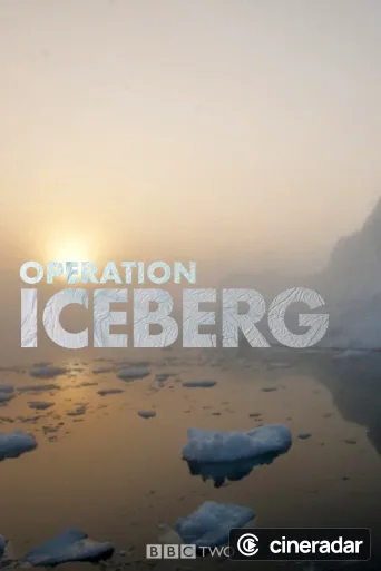 Operation Iceberg