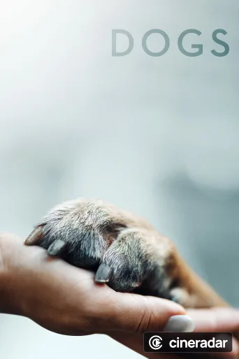 Nos amis les chiens