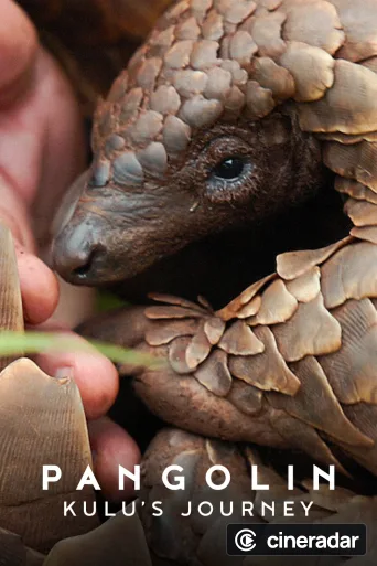 Pangolin: Kulus Weg