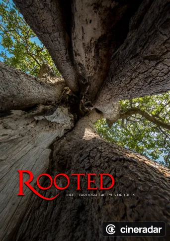 Rooted