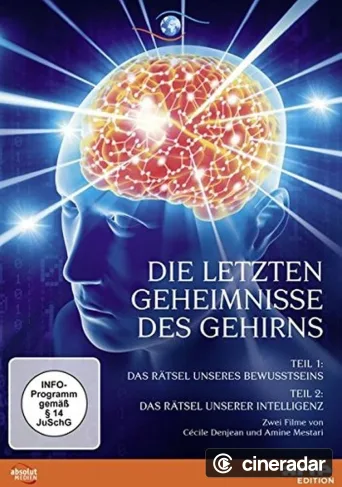 Les pouvoirs du cerveau
