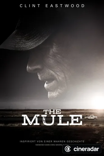 Mula
