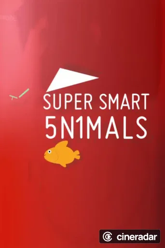 Super Smart Animals