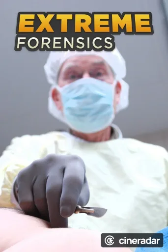 Extreme Forensics