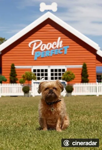 Pooch Perfect