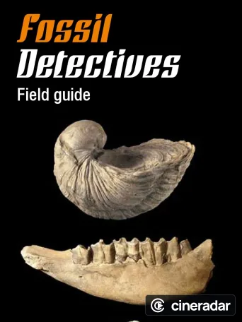 Fossil Detectives
