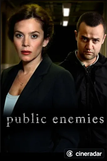 Public Enemies
