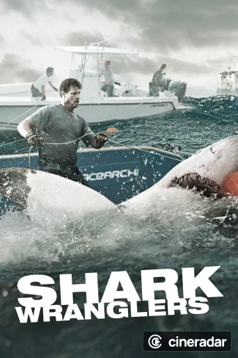 Shark Wranglers