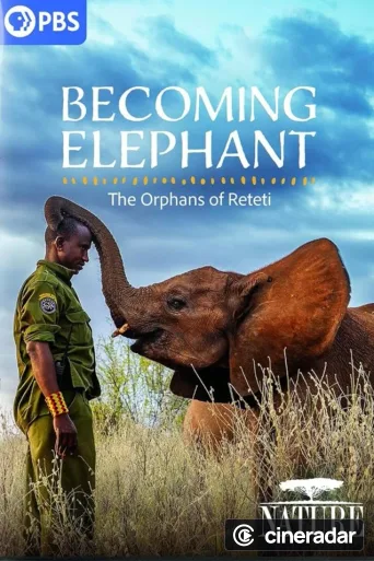 Becoming Elephant: The Orphans of Reteti