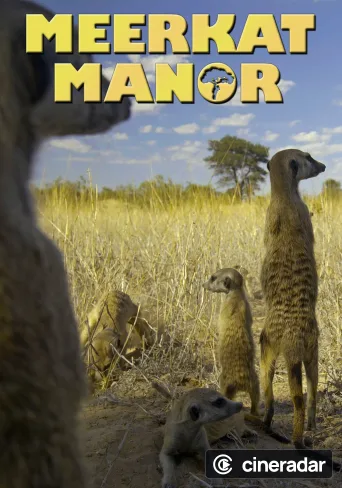 Meerkat Manor