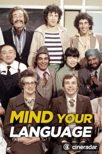 Mind Your Language