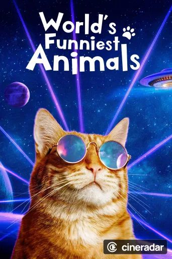 World's Funniest Animals