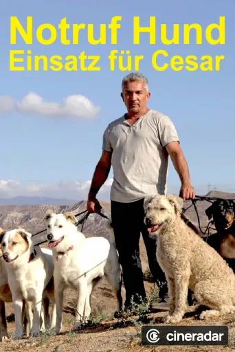 Notruf Hund - Einsatz für Cesar
