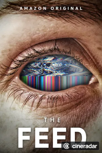 The Feed