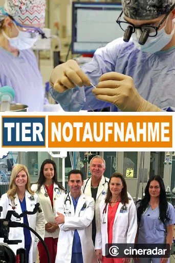 Animal ER