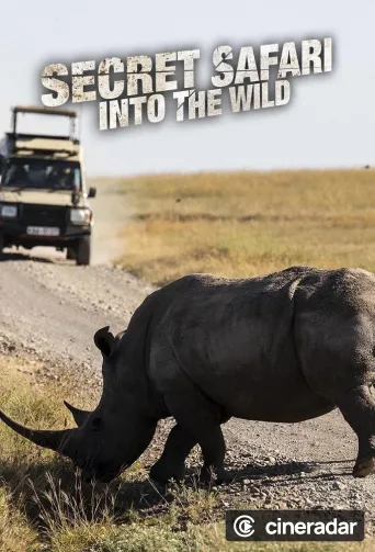 Secret Safari: Into the Wild