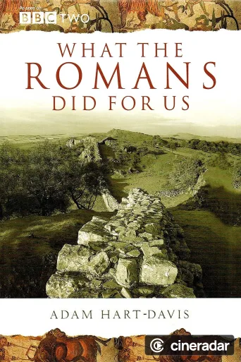 What the Romans Did for Us