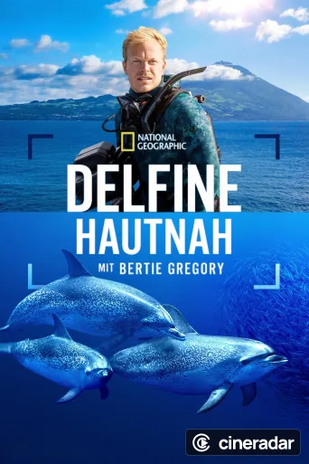 Dolphins Up Close with Bertie Gregory