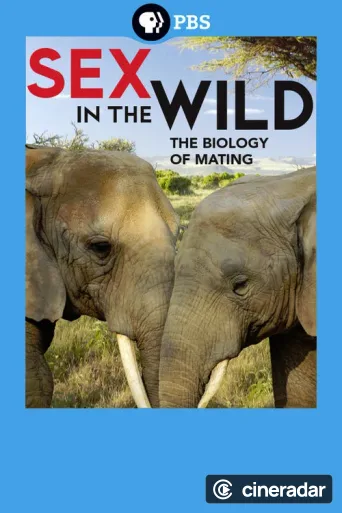 Sex In the Wild