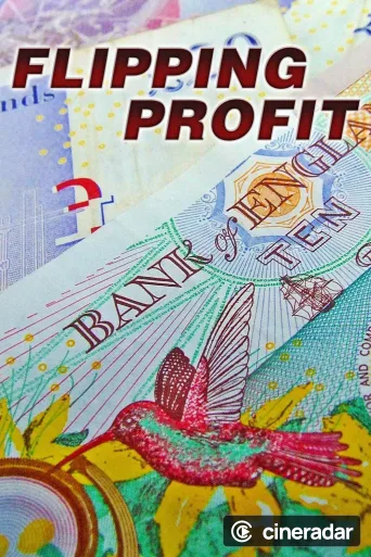 Flipping Profit