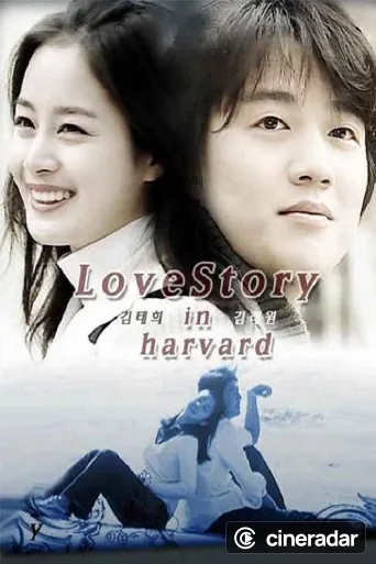 Love Story in Harvard