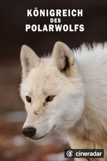Königreich des Polarwolfs