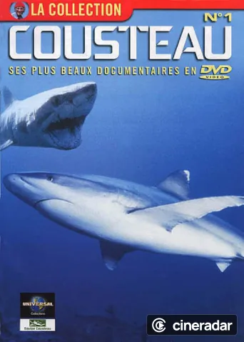 L’Odyssée sous-marine de l'équipe Cousteau
