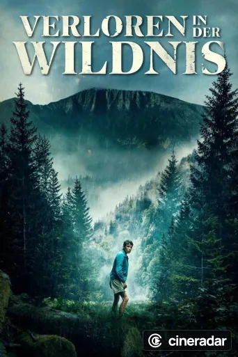 Lost on a Mountain in Maine