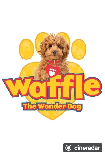 Wuffel, der Wunderhund