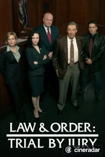 Law & Order - Il verdetto