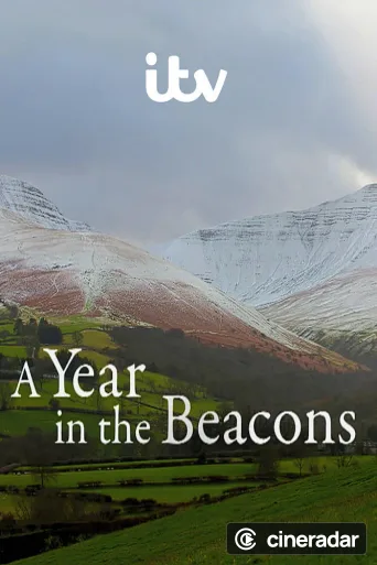 A Year in the Beacons