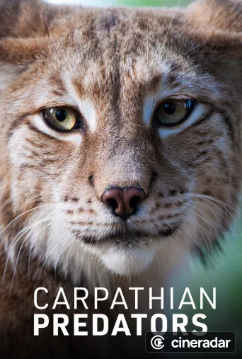 Carpathian Predators