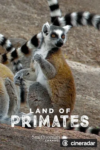 Land der Primaten