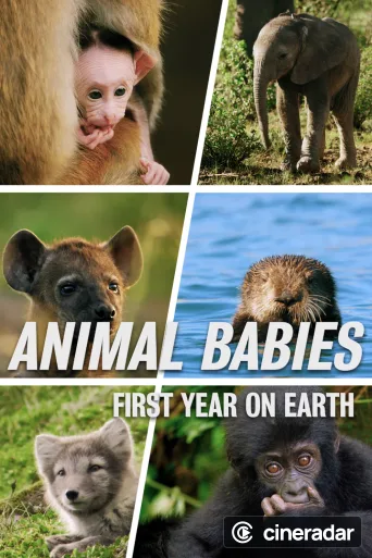 Cachorros, su primer año de vida