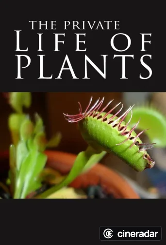 La vida privada de las plantas