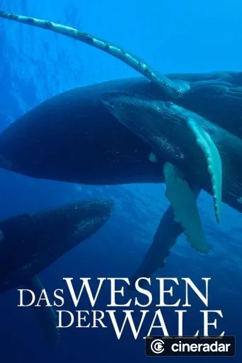 Das Wesen der Wale