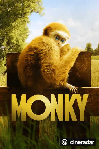 Monky