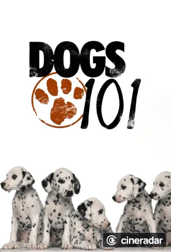 Dogs 101